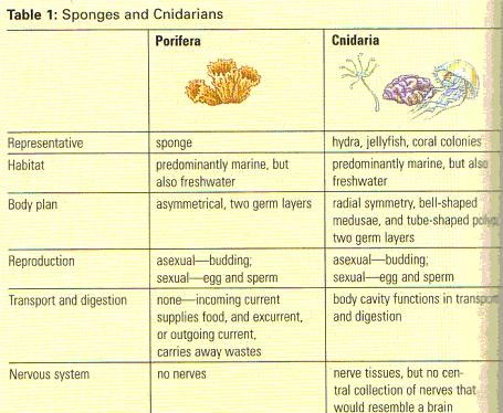 sponges and some cnidarians do not move from place to place